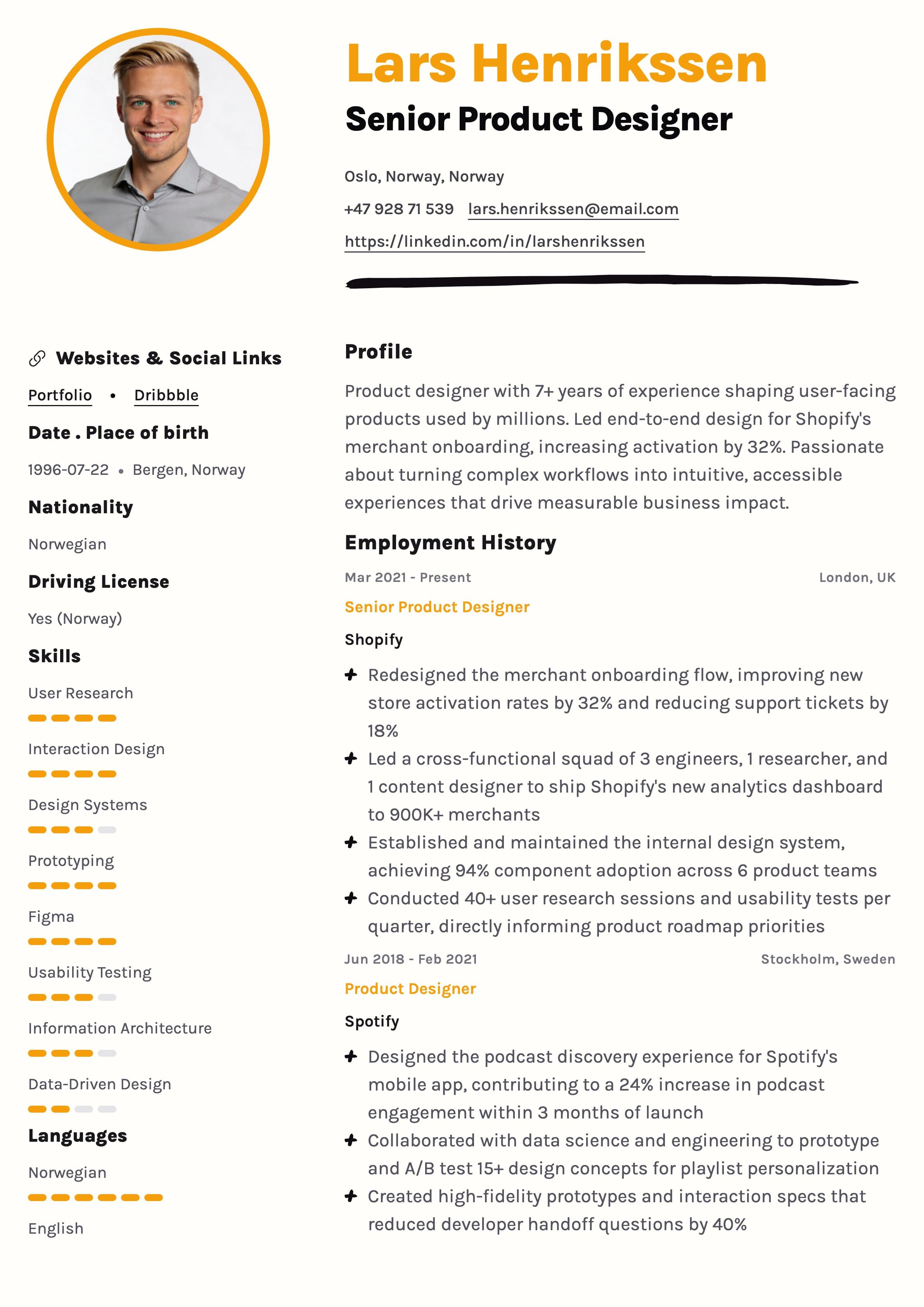 Professional CV template preview